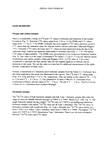 Dolomitization in the Guelph Formation, Southwestern Ontario Page 7