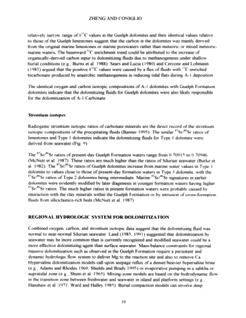 Dolomitization in the Guelph Formation, Southwestern Ontario Page 10