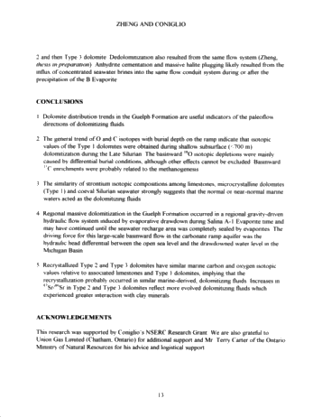 Dolomitization in the Guelph Formation, Southwestern Ontario Page 13