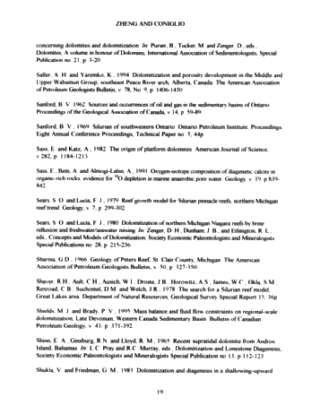 Dolomitization in the Guelph Formation, Southwestern Ontario Page 19