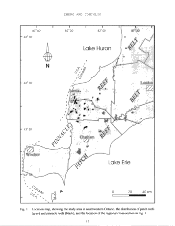 Dolomitization in the Guelph Formation, Southwestern Ontario Page 21