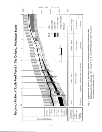 Dolomitization in the Guelph Formation, Southwestern Ontario Page 23