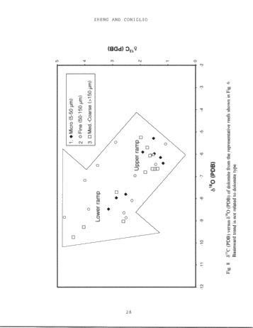 Dolomitization in the Guelph Formation, Southwestern Ontario Page 28