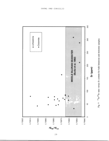 Dolomitization in the Guelph Formation, Southwestern Ontario Page 29