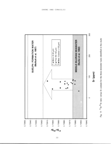 Dolomitization in the Guelph Formation, Southwestern Ontario Page 30