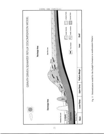 Dolomitization in the Guelph Formation, Southwestern Ontario Page 31