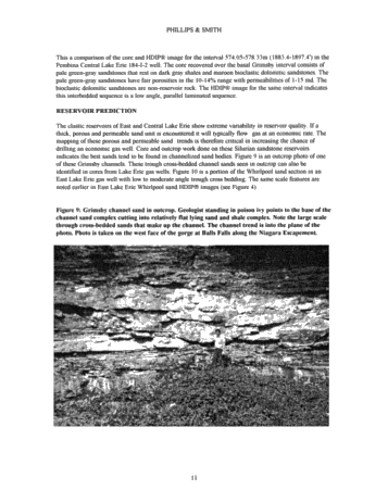 Using Dipmeter Log (HDIP) to Exploit Lake Erie Gas Reserves Page 11