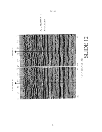 The Use of 3D Seismic to Enhance Deliverability From Underground Gas Storage Reefs Page 14