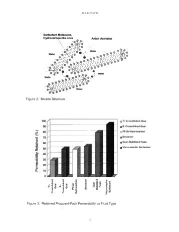 Visco-Elastic Surfactants - Fracturing Fluids for the New Millenium Page 7
