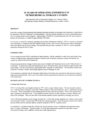 Twenty-five Years of Cavern Storage Page 1
