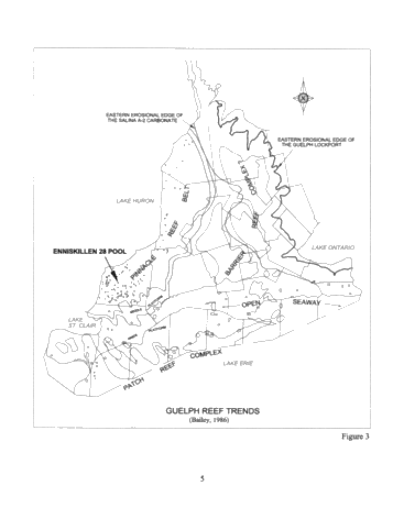 The Timing and Mechanics of Emplacement and Removal of Salt, in and Around Pinnacle Reefs In South-Western Ontario: The Enniskillen 28 Reef Model Page 5