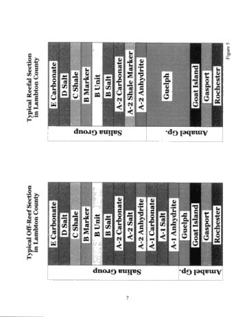 The Timing and Mechanics of Emplacement and Removal of Salt, in and Around Pinnacle Reefs In South-Western Ontario: The Enniskillen 28 Reef Model Page 7
