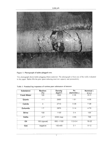 Identification of Salt Plugged Reservoirs Using The Pulsed Neutron Decay Log - Examples From Southern Ontario Page 7
