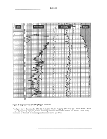 Identification of Salt Plugged Reservoirs Using The Pulsed Neutron Decay Log - Examples From Southern Ontario Page 9
