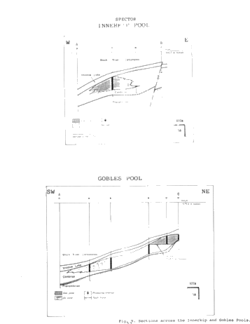 The Strathroy 1999 Aeromagnetic Survey: Implications For Oil and Gas Exploration Page 21
