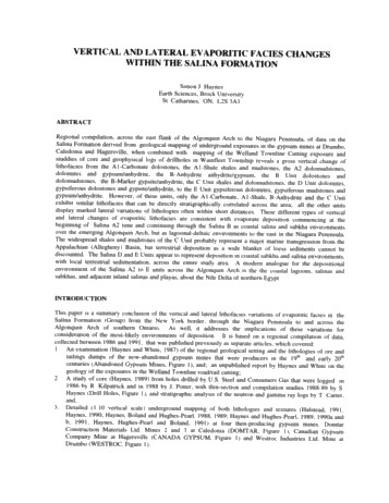 Vertical and Lateral Evaporitic Facies Changes Within The Salina Formation Page 1