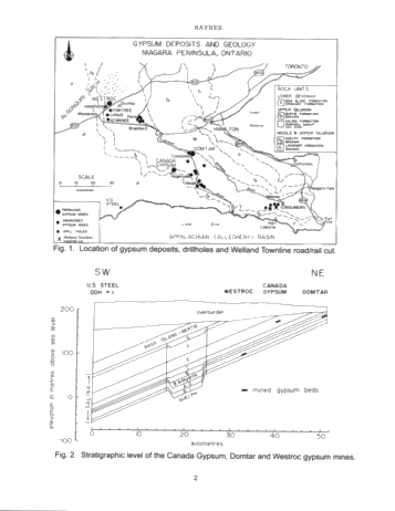 Vertical and Lateral Evaporitic Facies Changes Within The Salina Formation Page 2