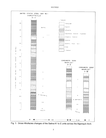 Vertical and Lateral Evaporitic Facies Changes Within The Salina Formation Page 3