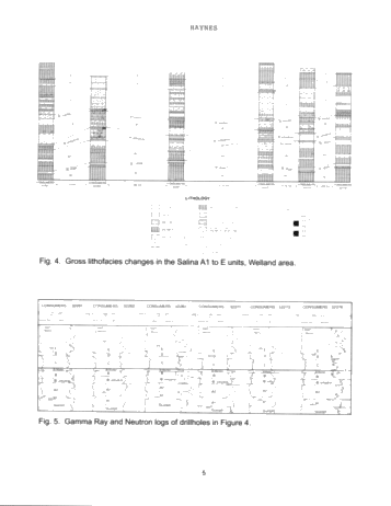 Vertical and Lateral Evaporitic Facies Changes Within The Salina Formation Page 5