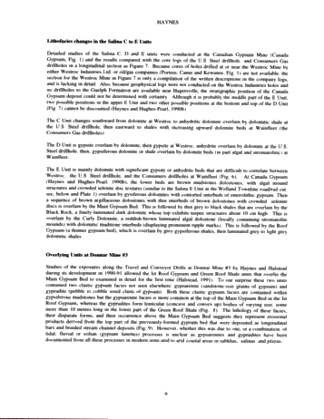 Vertical and Lateral Evaporitic Facies Changes Within The Salina Formation Page 9