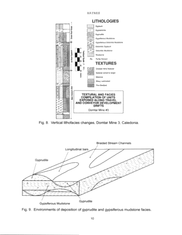 Vertical and Lateral Evaporitic Facies Changes Within The Salina Formation Page 10