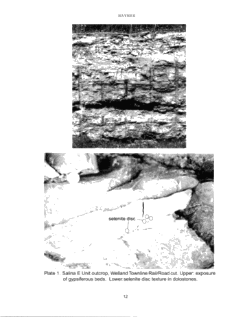 Vertical and Lateral Evaporitic Facies Changes Within The Salina Formation Page 12