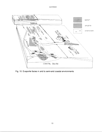 Vertical and Lateral Evaporitic Facies Changes Within The Salina Formation Page 13