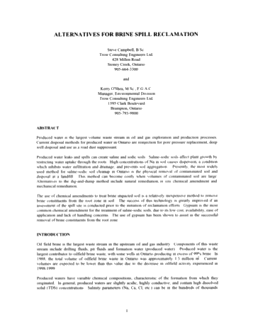 Alternatives for Brine Spill Reclamation Page 1