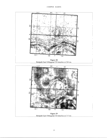 Megabin 3D Versus Conventional 3D Methods With Examples From The Michigan Basin Page 21