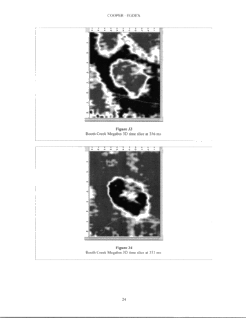 Megabin 3D Versus Conventional 3D Methods With Examples From The Michigan Basin Page 24
