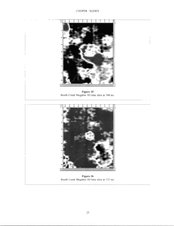 Megabin 3D Versus Conventional 3D Methods With Examples From The Michigan Basin Page 25