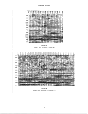 Megabin 3D Versus Conventional 3D Methods With Examples From The Michigan Basin Page 26