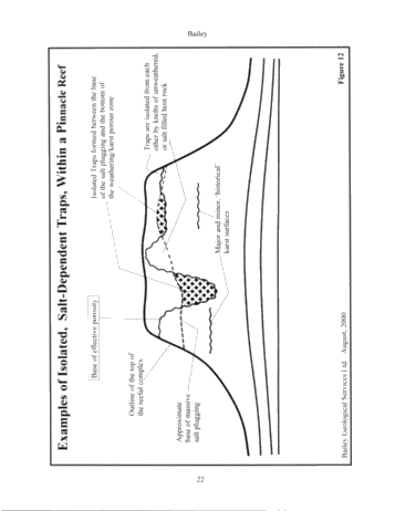 The Extremely Complicated, 'Simple' Pinnacle Reef Reservoirs of Ontario Page 22