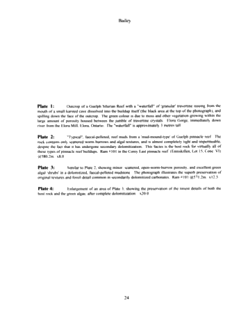 The Extremely Complicated, 'Simple' Pinnacle Reef Reservoirs of Ontario Page 24