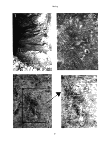 The Extremely Complicated, 'Simple' Pinnacle Reef Reservoirs of Ontario Page 25