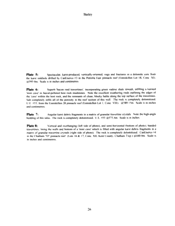 The Extremely Complicated, 'Simple' Pinnacle Reef Reservoirs of Ontario Page 26