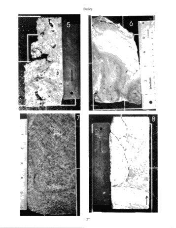 The Extremely Complicated, 'Simple' Pinnacle Reef Reservoirs of Ontario Page 27