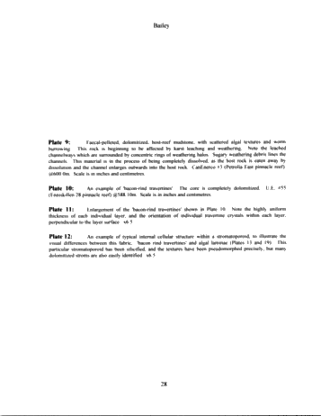 The Extremely Complicated, 'Simple' Pinnacle Reef Reservoirs of Ontario Page 28