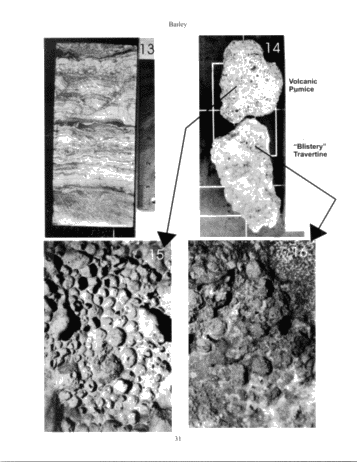 The Extremely Complicated, 'Simple' Pinnacle Reef Reservoirs of Ontario Page 31