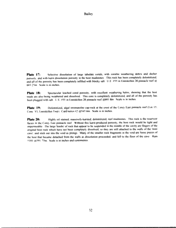 The Extremely Complicated, 'Simple' Pinnacle Reef Reservoirs of Ontario Page 32