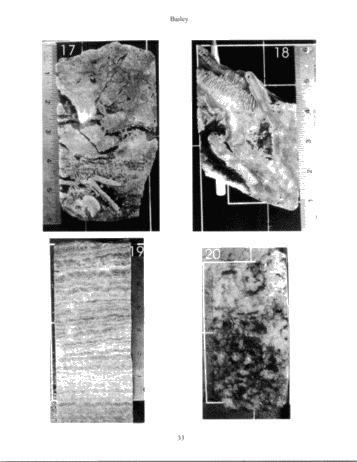 The Extremely Complicated, 'Simple' Pinnacle Reef Reservoirs of Ontario Page 33
