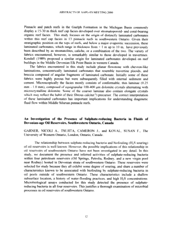 Northern Prospects in the 21st Century - 2000 Eastern Section American Association of Petroleum Geologists Page 13