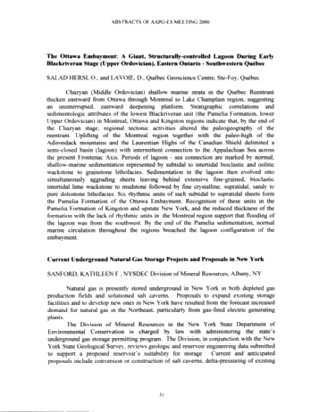 Northern Prospects in the 21st Century - 2000 Eastern Section American Association of Petroleum Geologists Page 30