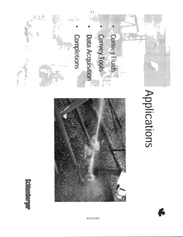 Well Services, Coiled Tubing Page 11