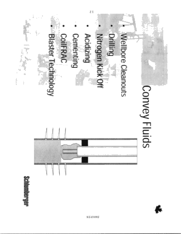 Well Services, Coiled Tubing Page 12