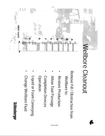 Well Services, Coiled Tubing Page 13