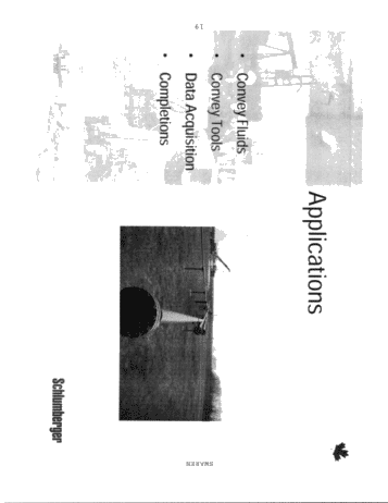 Well Services, Coiled Tubing Page 19
