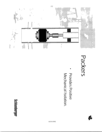 Well Services, Coiled Tubing Page 22