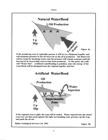 The Practical Geological Realities of Finding Oil and Gas Reservoirs and Water Disposal Zones in the Cambrian Sediments of S.W. Ontario Page 10