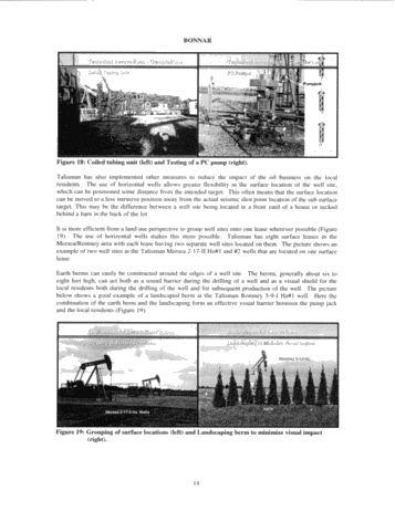 Talisman Energy Inc. and the Ontairo Oil Patch: Does the Shoe Fit? Page 14